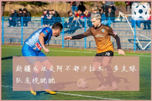 新疆或放走阿不都沙拉木，多支球队虎视眈眈