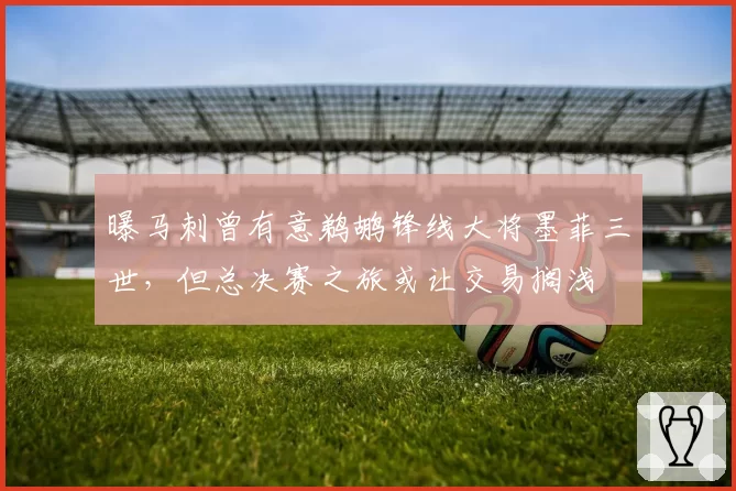 曝马刺曾有意鹈鹕锋线大将墨菲三世，但总决赛之旅或让交易搁浅