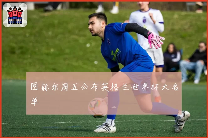图赫尔周五公布英格兰世界杯大名单