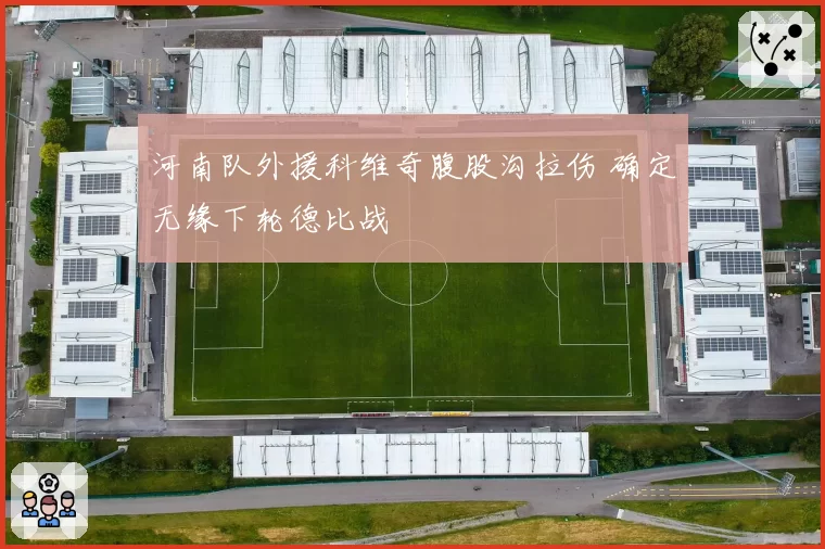 河南队外援科维奇腹股沟拉伤 确定无缘下轮德比战
