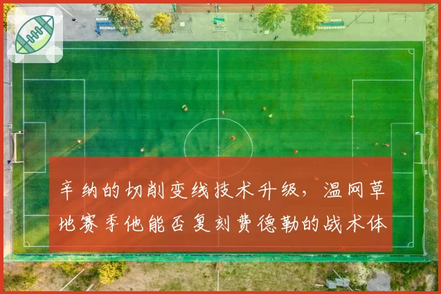 辛纳的切削变线技术升级,温网草地赛季他能否复刻费德勒的战术体系