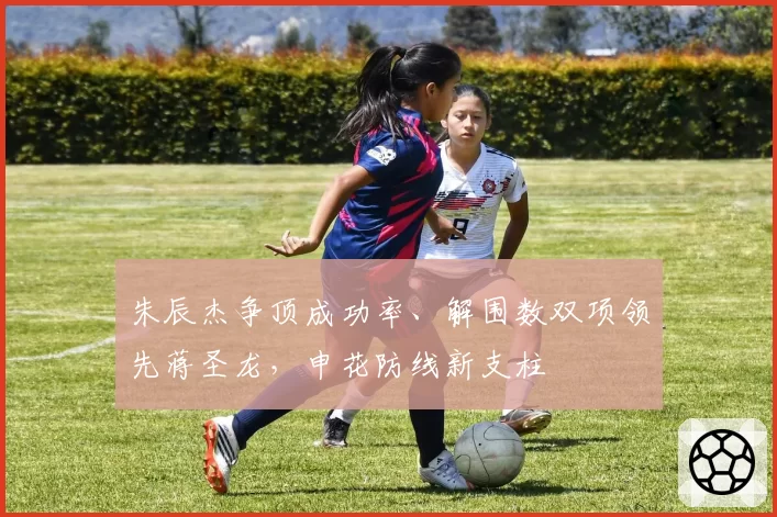 朱辰杰争顶成功率、解围数双项领先蒋圣龙，申花防线新支柱