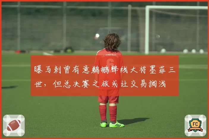 曝马刺曾有意鹈鹕锋线大将墨菲三世，但总决赛之旅或让交易搁浅