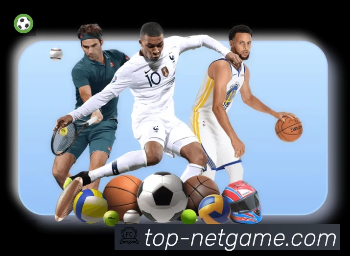 安全使用与支持流程